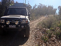 IMG 1640