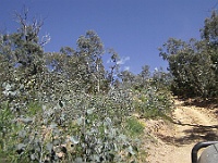 PICT0022