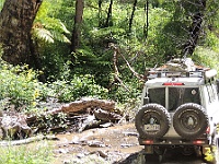 DSCN0748