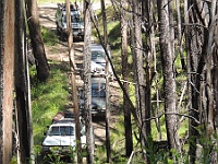 DSCN5199