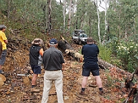1058-LaurieMiles-2  Removing a fallen tree on Spring Hill Track north east of Swifts Creek