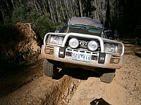 2067-RosalieReville-2  Bogged on Mt Pinnibar Track