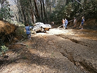2067-RosalieReville-3  Recovery on Mt Pinnibar Track