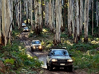 2510-JohnNazloomian-4  Crossing the Rubicon Trip