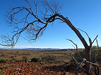 2545-IngridMakowski-4  "Skytrek Lookout", along the Skytrek track, Willow Springs, South Australia