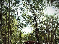 2598-Lilley-Yarck Truck