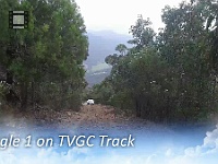 Eagle1-TVGC-Track