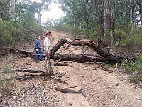Image14
