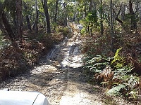 Image37