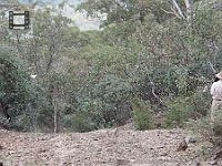 P3130195