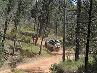 Image11
