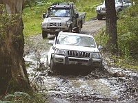 Picture 1