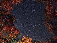 11 - Camp fire under the stars