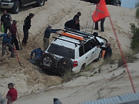 26 - Recovery on Portland dunes