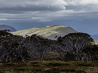 28 - High Country views : Alpine N.P., Baz N Viv, Blue Rag, Dargo, Dave, Dianne, Eildon, Herne Spur Tk, Howqua Hills Tk, John, King Spur Tk, Mayford, Michael, Mitchells Tk, Steve, Stoney Creek Tk, TLCCV, Wonnangatta, Yarck, Zeka Spur Tk