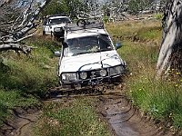 15 - Driving the muddy Butcher track : Butcher Traxk Macalister River Track