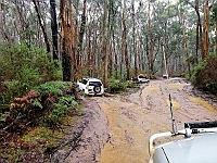 36 - Muddy Convoy
