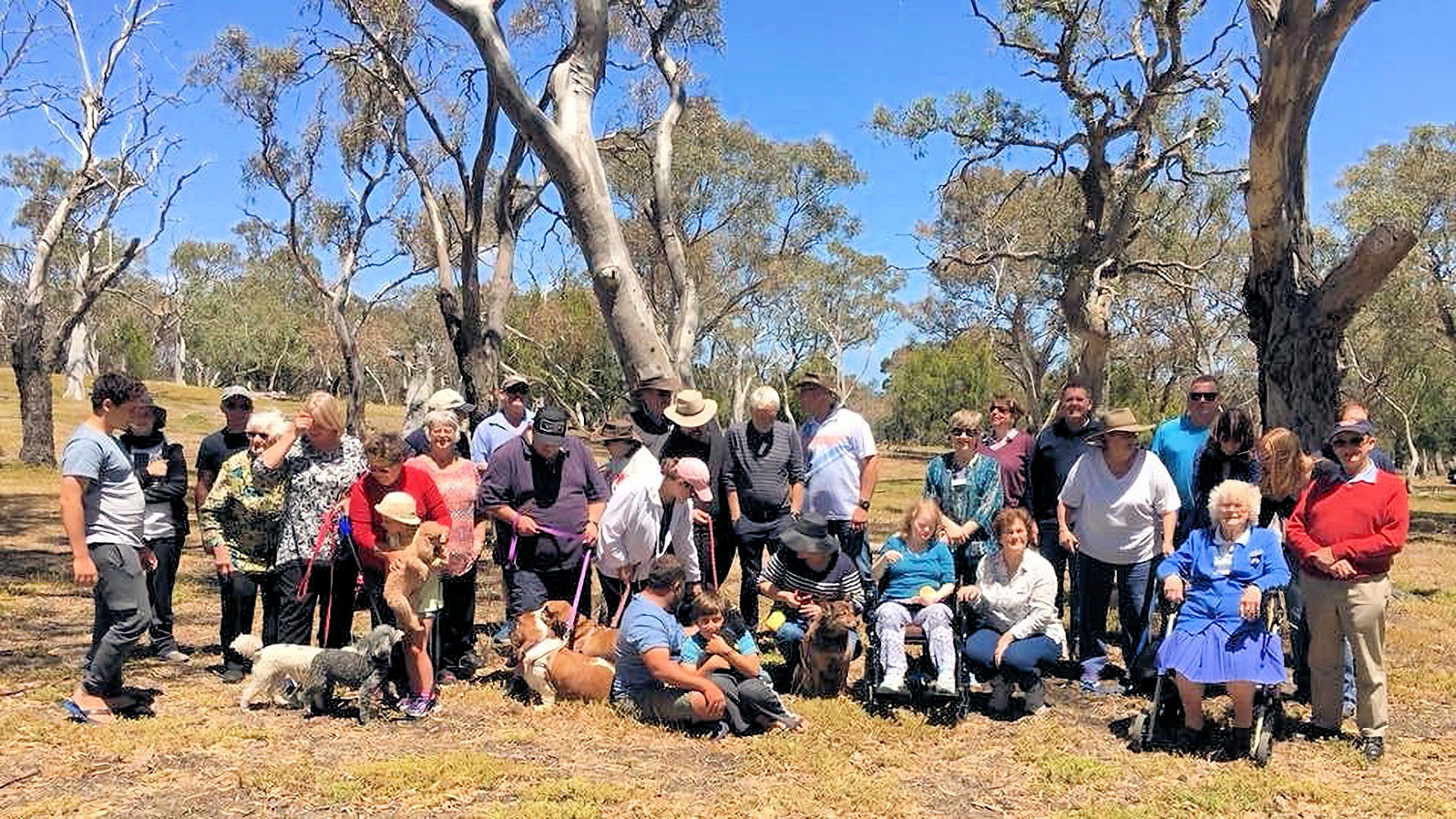 YouYangs DogsDayOut pic